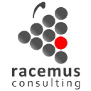 racemusconsulting.com