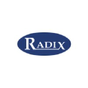 radixmicrosystems.co.in
