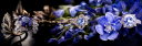 Rafisjewelry