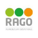 ragogroup.com