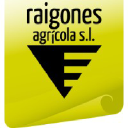 raigones.com