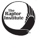 raptorinstitute.org