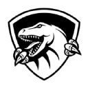 Raptor IT Consultants Inc