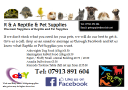 Rareptilepetsupplies