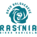 rasinia.com
