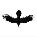Raven Guide Music Promotion
