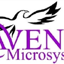 ravensoftmicrosystems.com