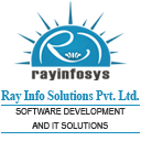 rayinfosolutions.com