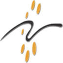 Rays TechServ Pvt. Ltd. logo