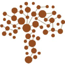 Logo for realmushrooms.com