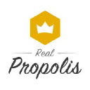 realpropolis.com.br