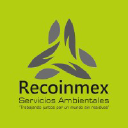 recoinmex.com
