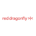 red dragonfly