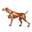 Logo for redbarkshop.com