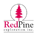 Red Pine Exploration Inc. logo