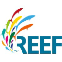 reef-distribution.com