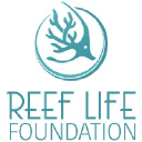 reeflifefoundation.org