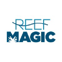 reefmagiccruises.com