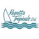 regattatropicals.com