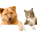 Service Animal / ESA