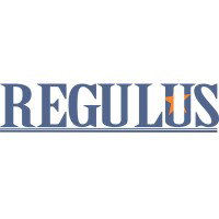 Regulus Investment and Capital Holdings (R.I.C.H)
