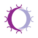 Repertoire Immune Medicines