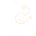 rescoll-medical.com