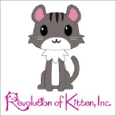 rev-kitten.com