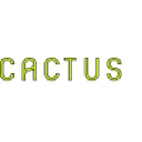 revistacactus.com