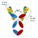 RevOpsis Therapeutics