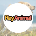 ReyAnimal.com - Tienda de Mascotas
