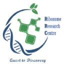 ribosomeresearch.com