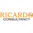 ricardo-consultancy.com
