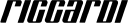 Logo for riccardiboston.com
