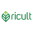 Ricult