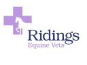 ridingsequinevets.co.uk