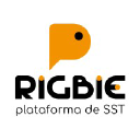 rigbie.com.br