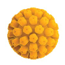 Rigvir