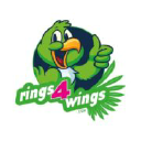 rings4wings.com