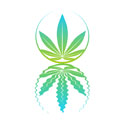 Ripple Cannabis Co Logo