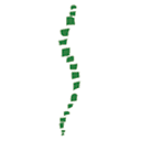 Ritacco Chiropractic logo