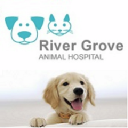 River Grove Animal Hospital Mississauga