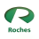 Roches Chartered Accountants logo