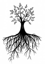 Root Naturally LLC