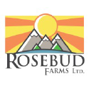 rosebudcannabisfarms.ca
