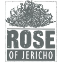 roseofjericho.co.uk