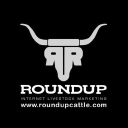 roundupcattle.com