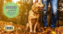 roverswellness.com