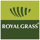 royalgrass.com