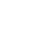 Royal Venetian Mansion logo